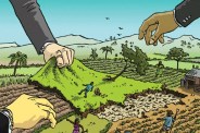 Land Fraud in Ambikapur, Land fraud