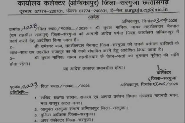 Naib Tehsildar removed