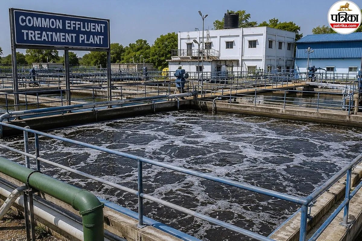 Luni River Pollution