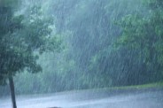 MP Monsoon 2026 Update