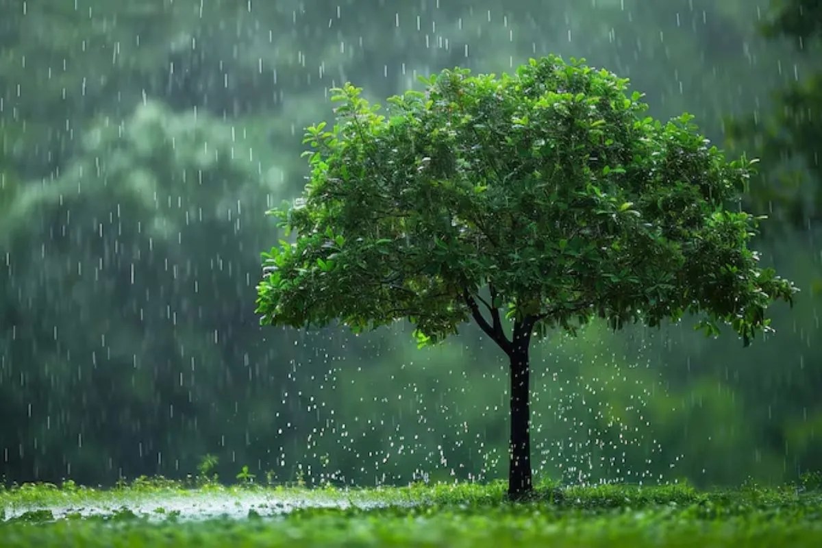 MP monsoon 2026 rain alert