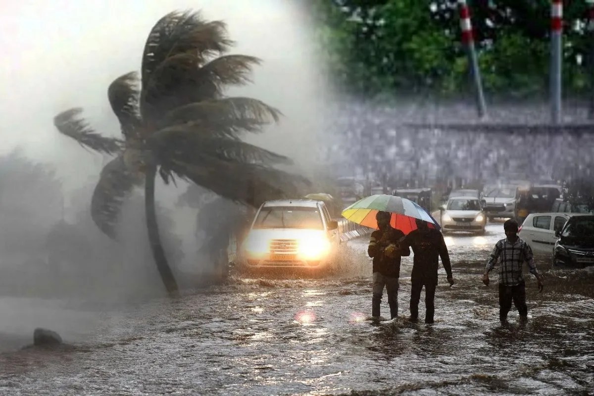 Monsoon 2026 in MP district wise Latest Update