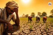 Farmers Weather Update