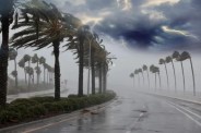 MP Monsoon Update
