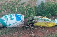 Murder in Surajpur, Dead body found in sacks