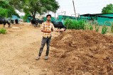 Young farmer Kamal Rawat: दूध डेयरी पर मिली काम करने की प्रेरणा (Photo Source - Patrika)
