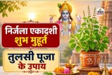 Tulsi Puja on Nirjala Ekadashi