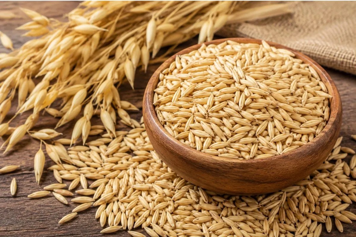 MP Oats Farming