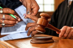 up panchayat chunav update high court said election commission should tell when elections will be held