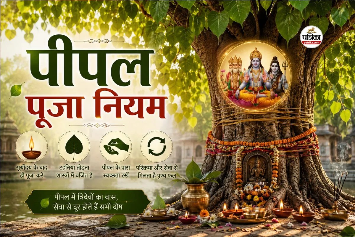 Peepal Tree Benefits, Peepal Tree Worship Rules