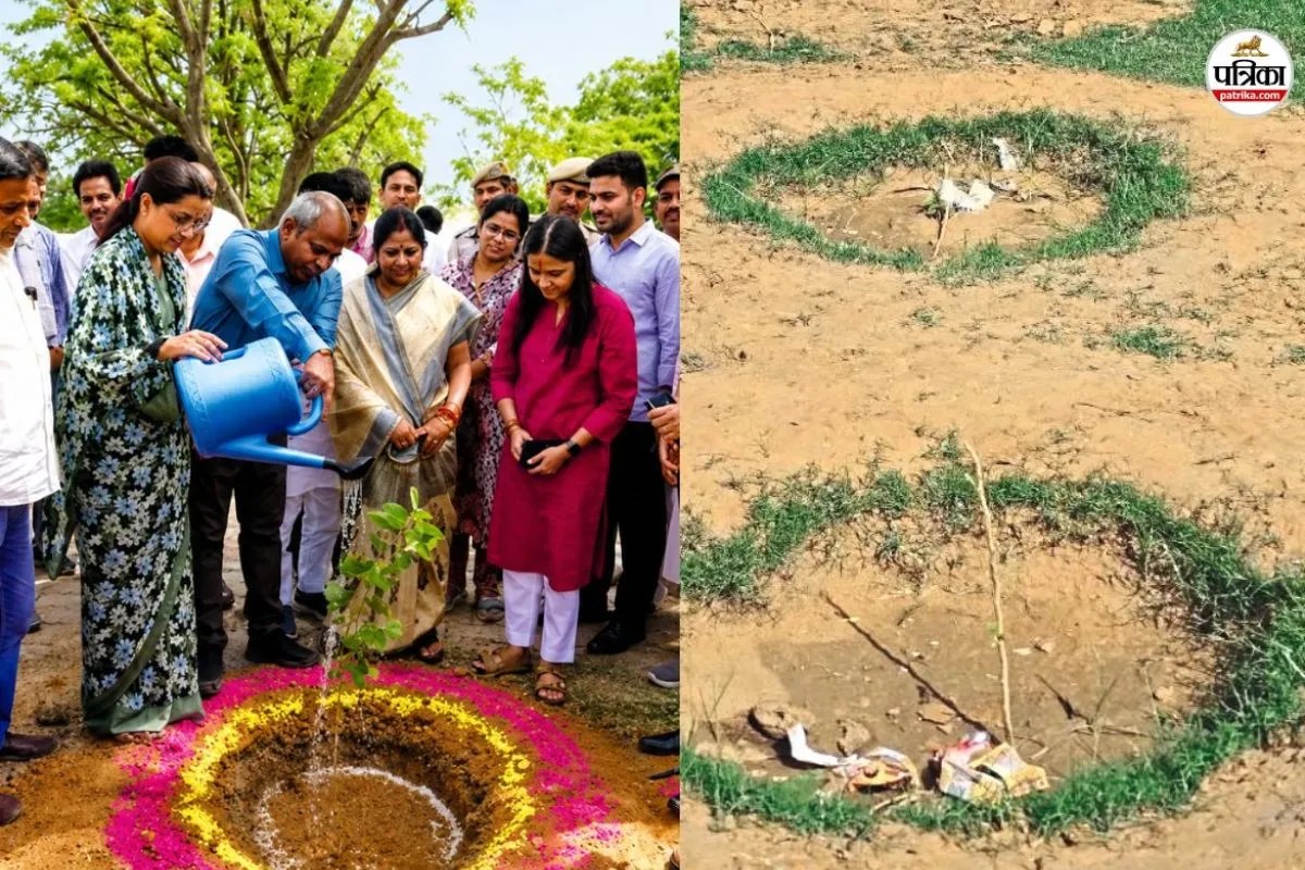 Dausa Plantation Drive