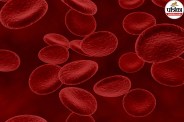 High platelet count symptoms,What is thrombocytosis,Causes of elevated platelets,