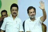 Rahul Gandhi vs MK Stalin