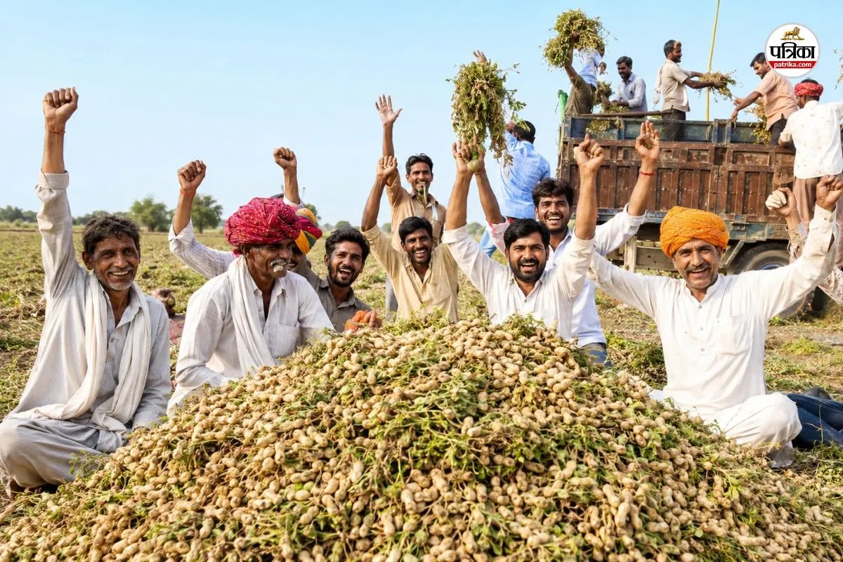 Peanut cultivation changing Rajasthan Farmers fortunes income Bumper jump