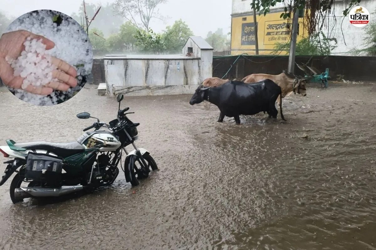 Rajasthan weather