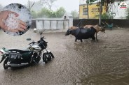 Rajasthan weather