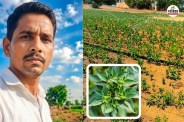 Rajasthan Sri Ganganagar young farmer Ramkumar success story Know