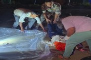 Surguja road accident