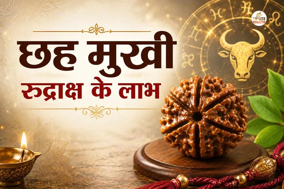 6 Mukhi Rudraksha benefita