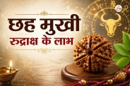 6 Mukhi Rudraksha benefita