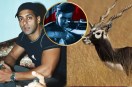 Salman Khan Blackbuck Case