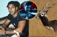 Salman Khan Blackbuck Case