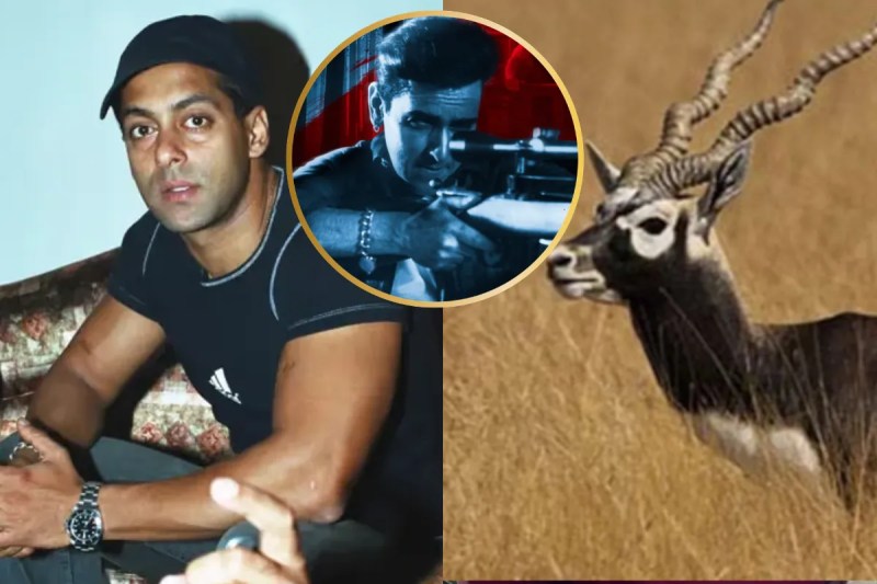 Salman Khan Blackbuck Case