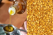 Sarso Oil Price