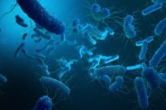 Shigella outbreak in Kerala with 126 cases and child death reported.
