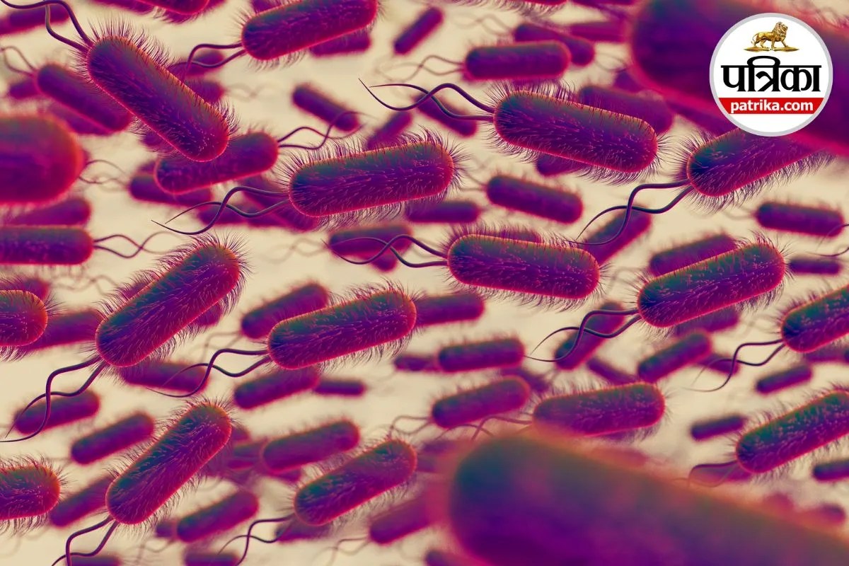 Shigella, Shigellosis, Child Health,