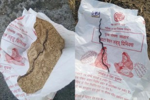 Snake Found In Sattu Packet