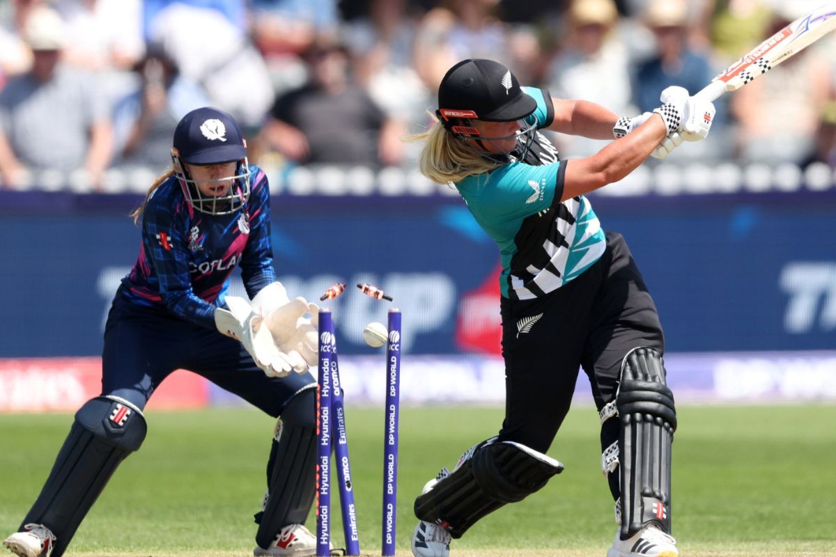 new zealand vs scotland