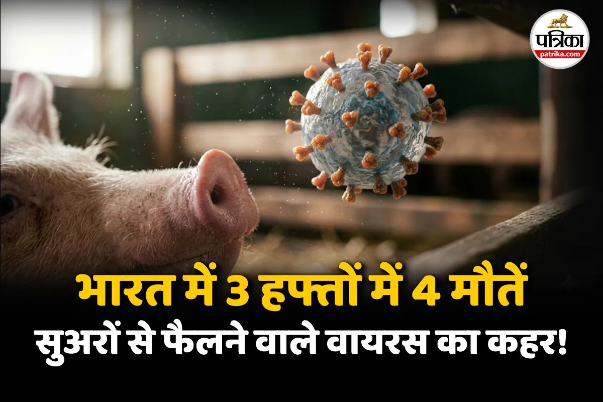 Swine Flu Latest News, Karnataka Man Dies Of Swine Flu, H1N1 Symptoms in Hindi,