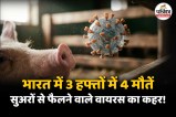 Swine Flu Latest News, Karnataka Man Dies Of Swine Flu, H1N1 Symptoms in Hindi,