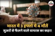 Swine Flu Latest News, Karnataka Man Dies Of Swine Flu, H1N1 Symptoms in Hindi,