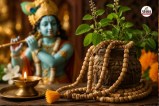 Tulsi Mala Wearing Rules