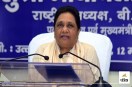 mayawati ground test begins bsp to hold two public meetings in ayodhya and akbarpur up politics