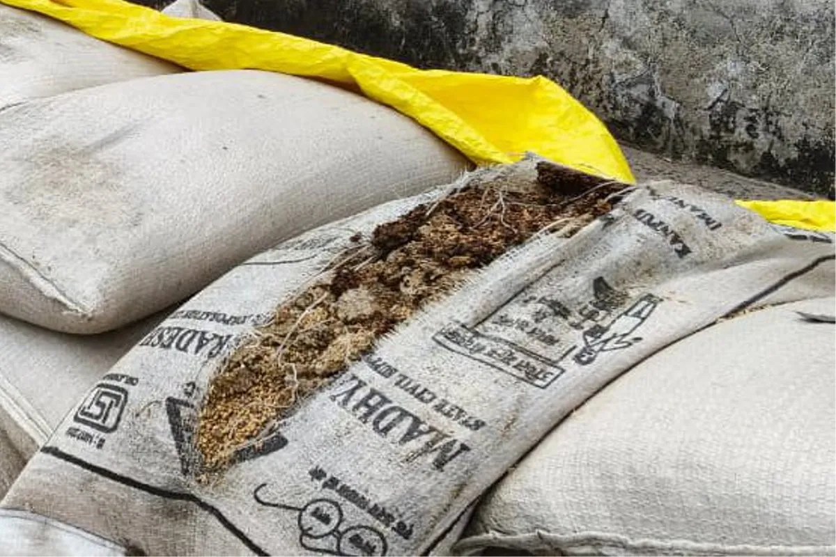 The society manager failed to protect the wheat from the rain, resulting in the spoilage of 400 quintals and a loss of ₹10.5 lakh to the government.