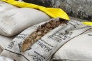 The society manager failed to protect the wheat from the rain, resulting in the spoilage of 400 quintals and a loss of ₹10.5 lakh to the government.