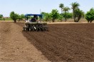 Kharif Crop: Sowing has begun, but neither DAP nor government-supplied soybean seeds are available.