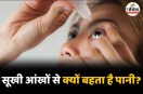 Dry Eyes Watery Eyes Burning Sensation Eye DRops