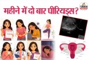 Polymenorrhea Severe Anemia Hypothalamus Infertility Hormonal Imbalance
