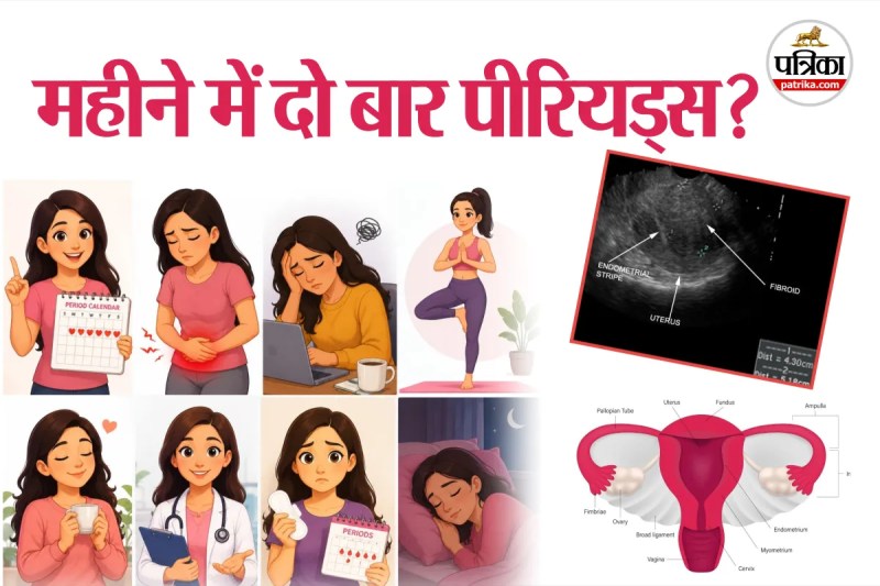 Polymenorrhea Severe Anemia Hypothalamus Infertility Hormonal Imbalance
