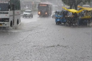 Delhi Weather Forecast
