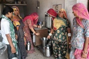 World Milk Day