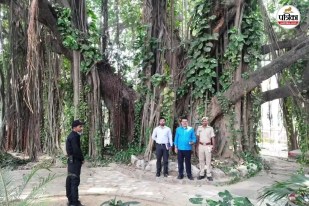 Munger Banyan Tree