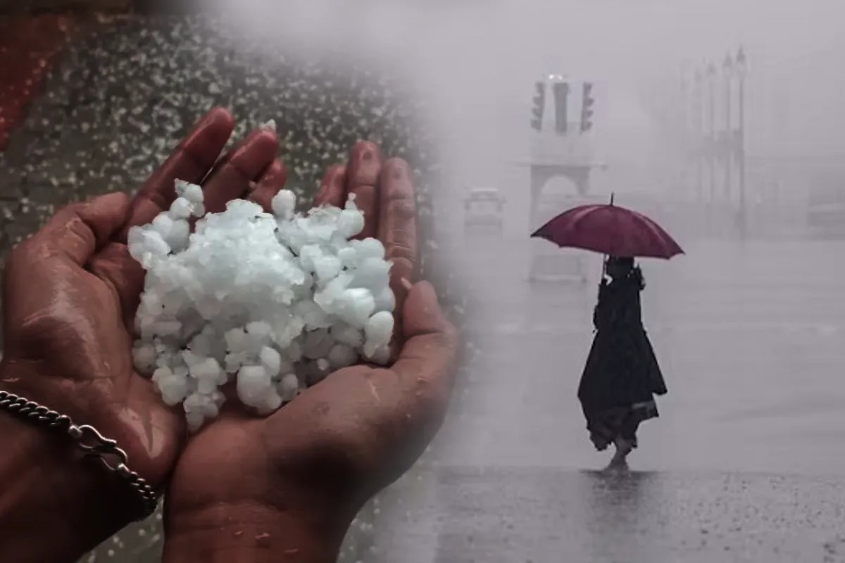 MP Monsoon