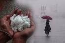 MP Monsoon