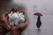 MP Monsoon