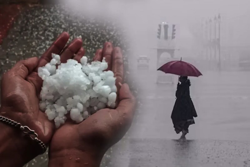 MP Monsoon